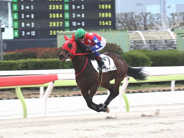 ジャイヴトーク