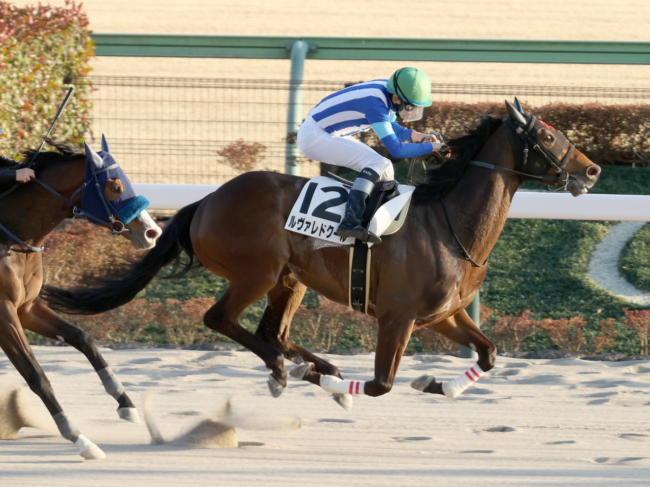 ルヴァレドクール