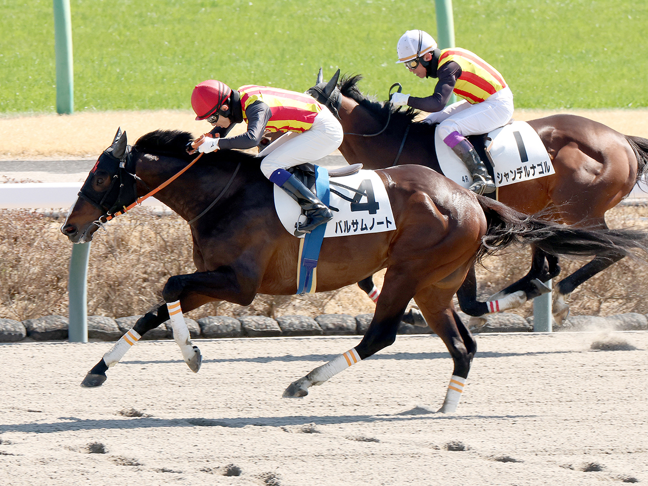 バルサムノート