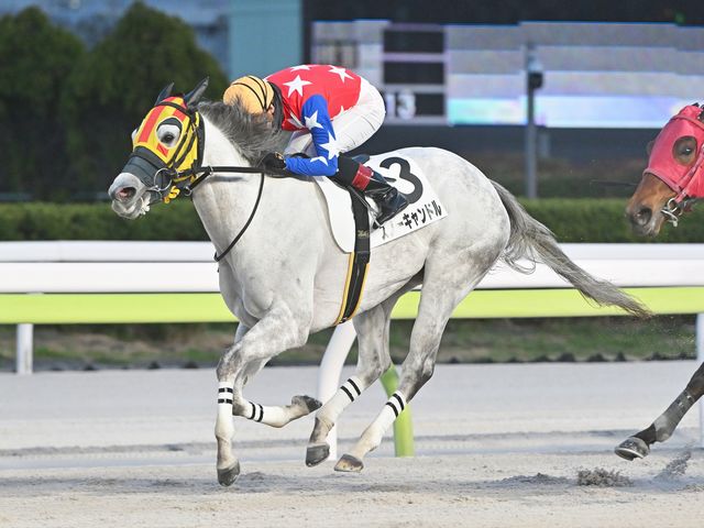 スノーキャンドル