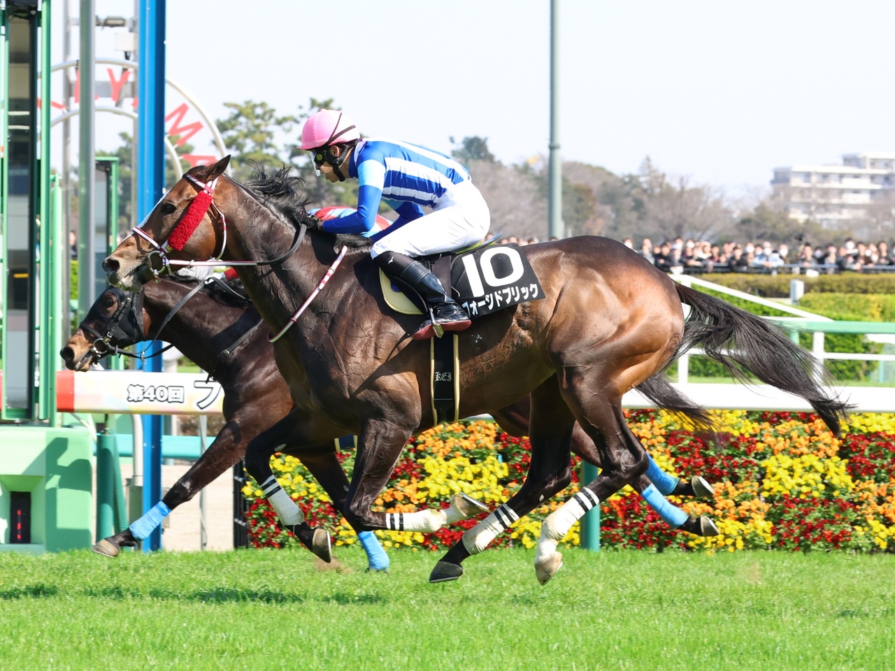 フォージドブリック