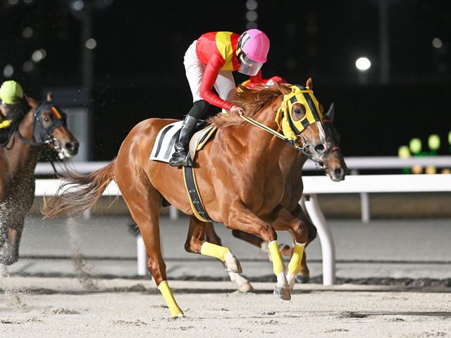 トワイライトウェイ