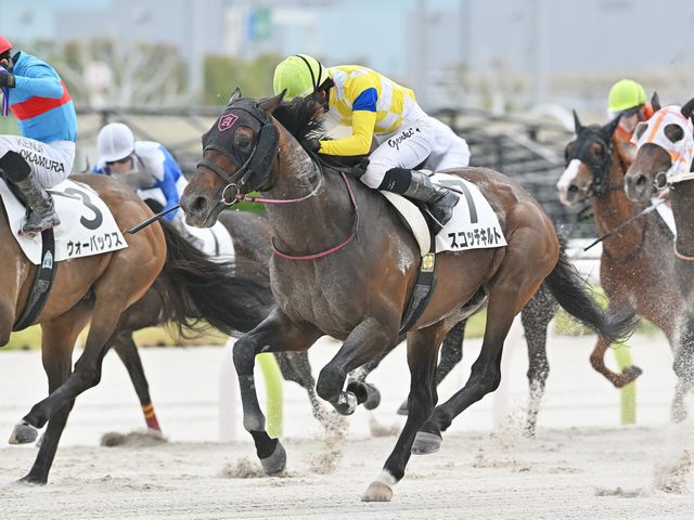 スコッチキルト