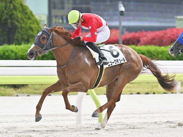 ニュークチュール