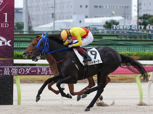 ノットボーダー