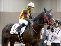Shadai Group Owners 社台グループオーナーズ