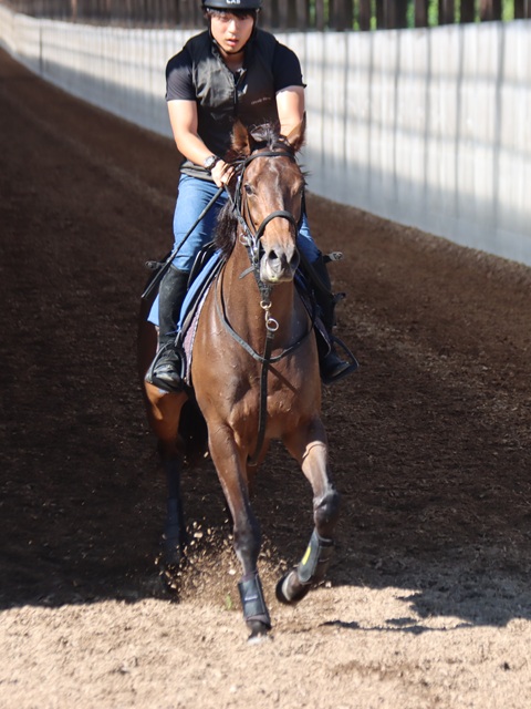 藤田西洋　馬と馬車の風景 センジェルメン ドゥ プレ教会 藤田西洋 馬と馬車の風景 センジェルメン ドゥ プレ教会 - メルカリ