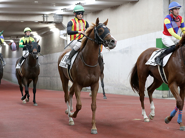 藤田西洋 馬と馬車の風景 センジェルメン ドゥ プレ教会 藤田西洋 馬と馬車