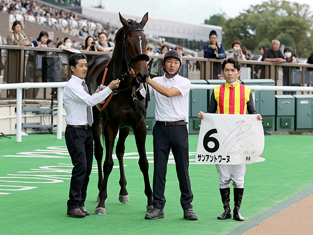 Shadai Group Owners 社台グループオーナーズ