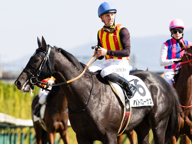 Shadai Group Owners 社台グループオーナーズ