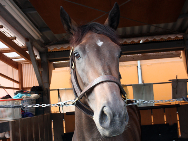 会馬公式 sddefault.jpg