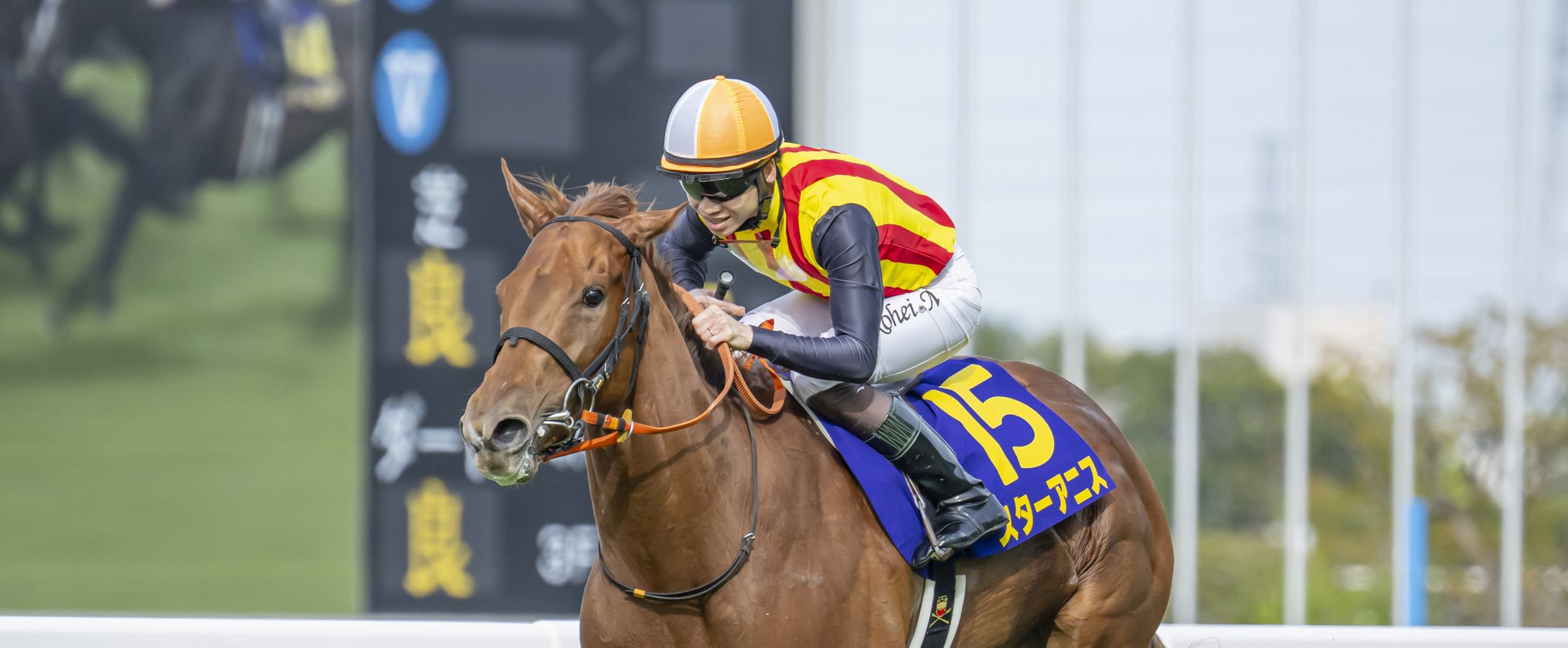 スターアニスが桜花賞(G1)を制覇