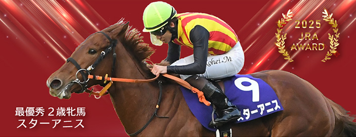 Shadai Group Owners 社台グループオーナーズ