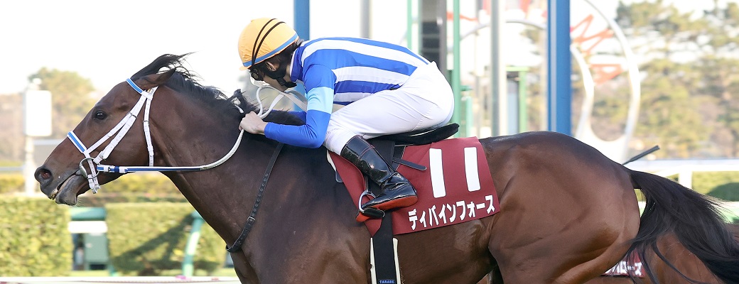 ディバインフォースがステイヤーズSを制覇!