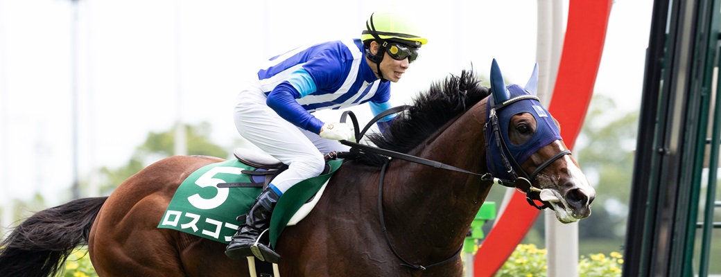 ロスコフが小倉サマージャンプを制覇!