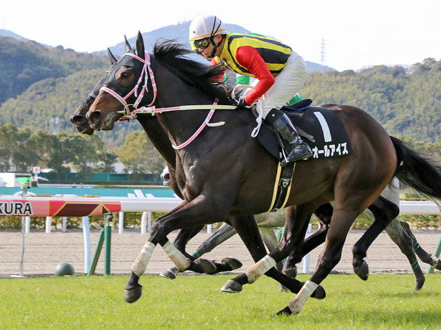 Shadai Group Owners 社台グループオーナーズ