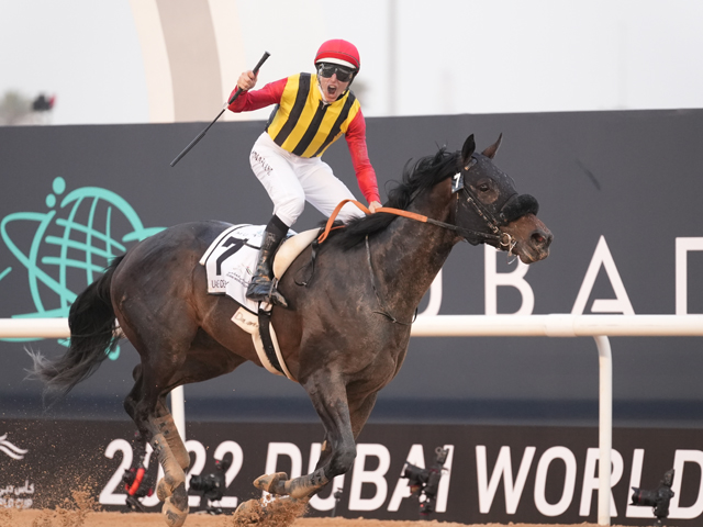 Shadai Group Owners 社台グループオーナーズ