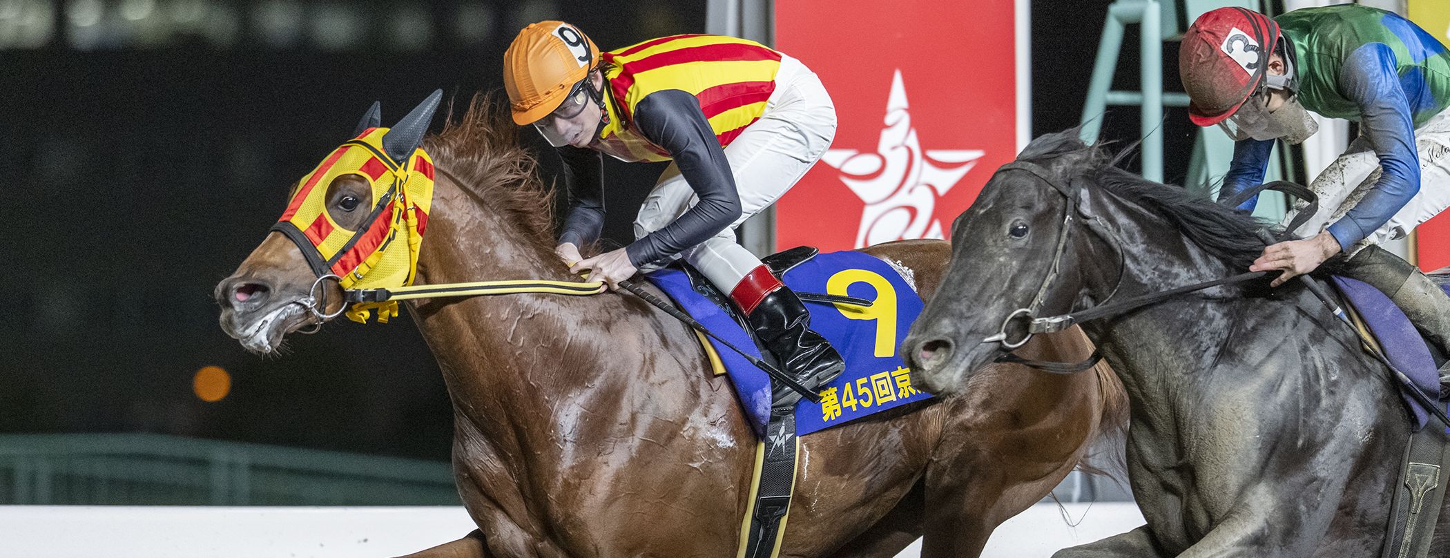 シャルフジンが京浜盃を制覇!